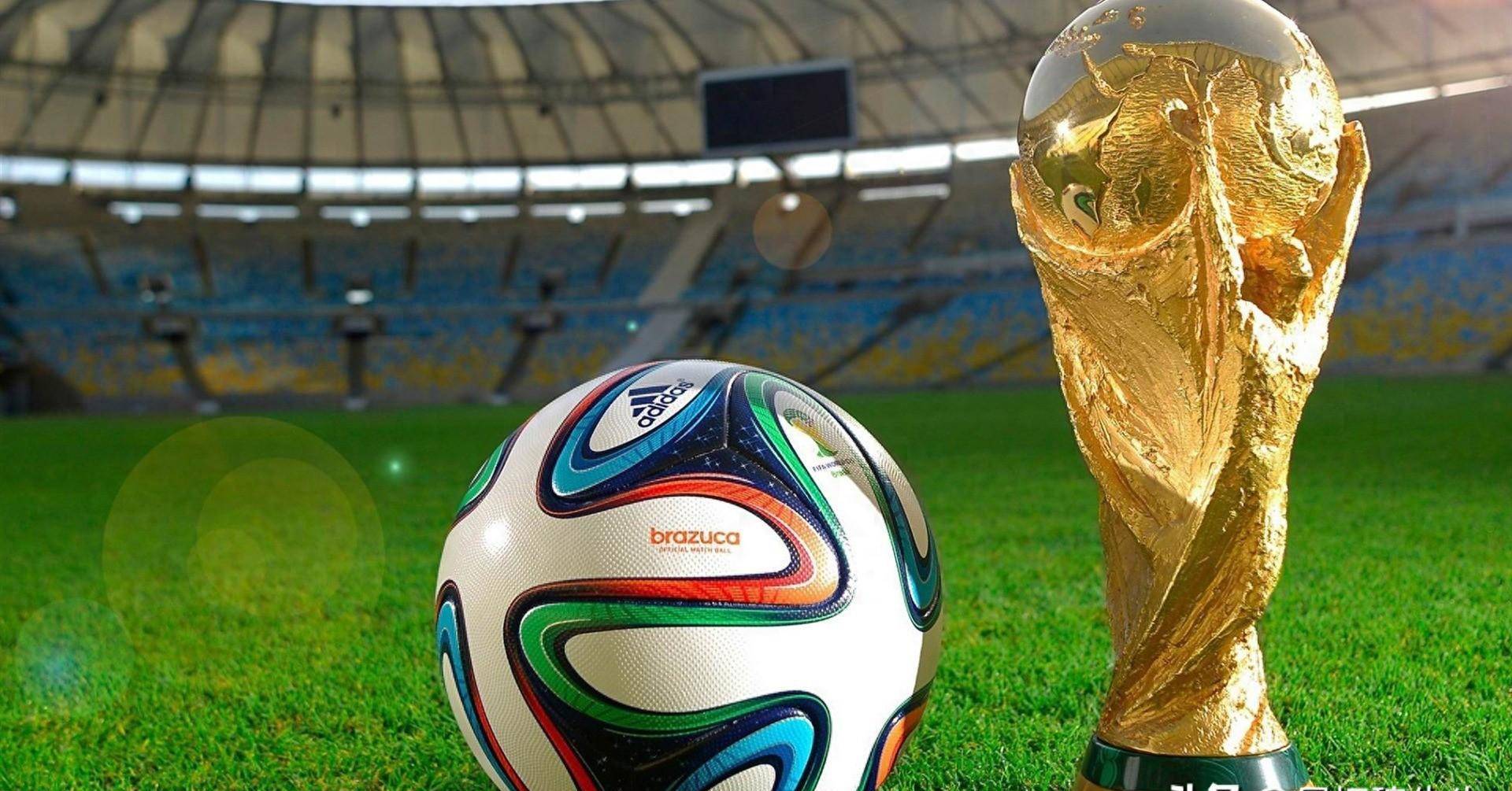 如果你需要 如果你需要