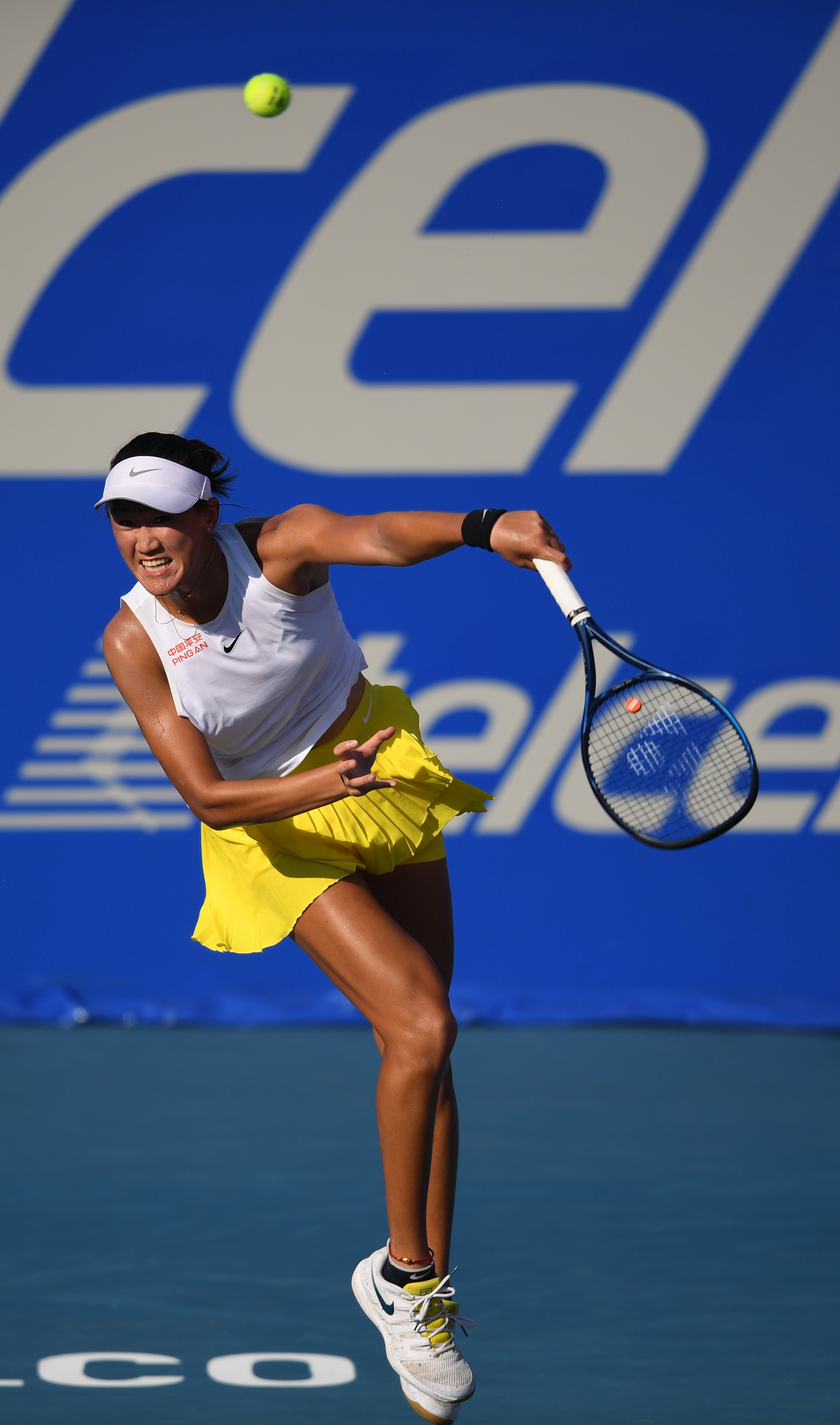 职业生涯的 职业生涯的