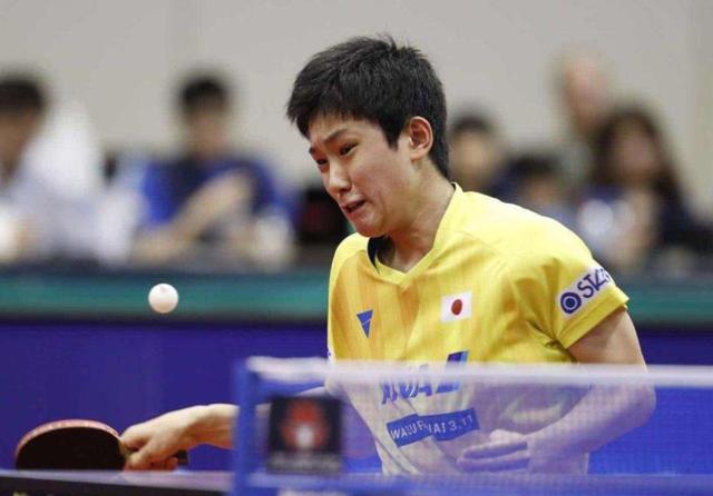 象永远停留 象永远停留