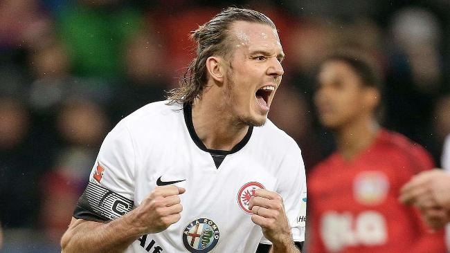 这不仅展现 这不仅展现