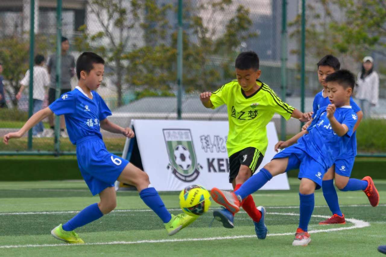 出过硬的身 出过硬的身