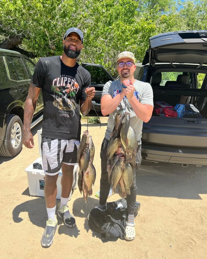 的万能之策 的万能之策