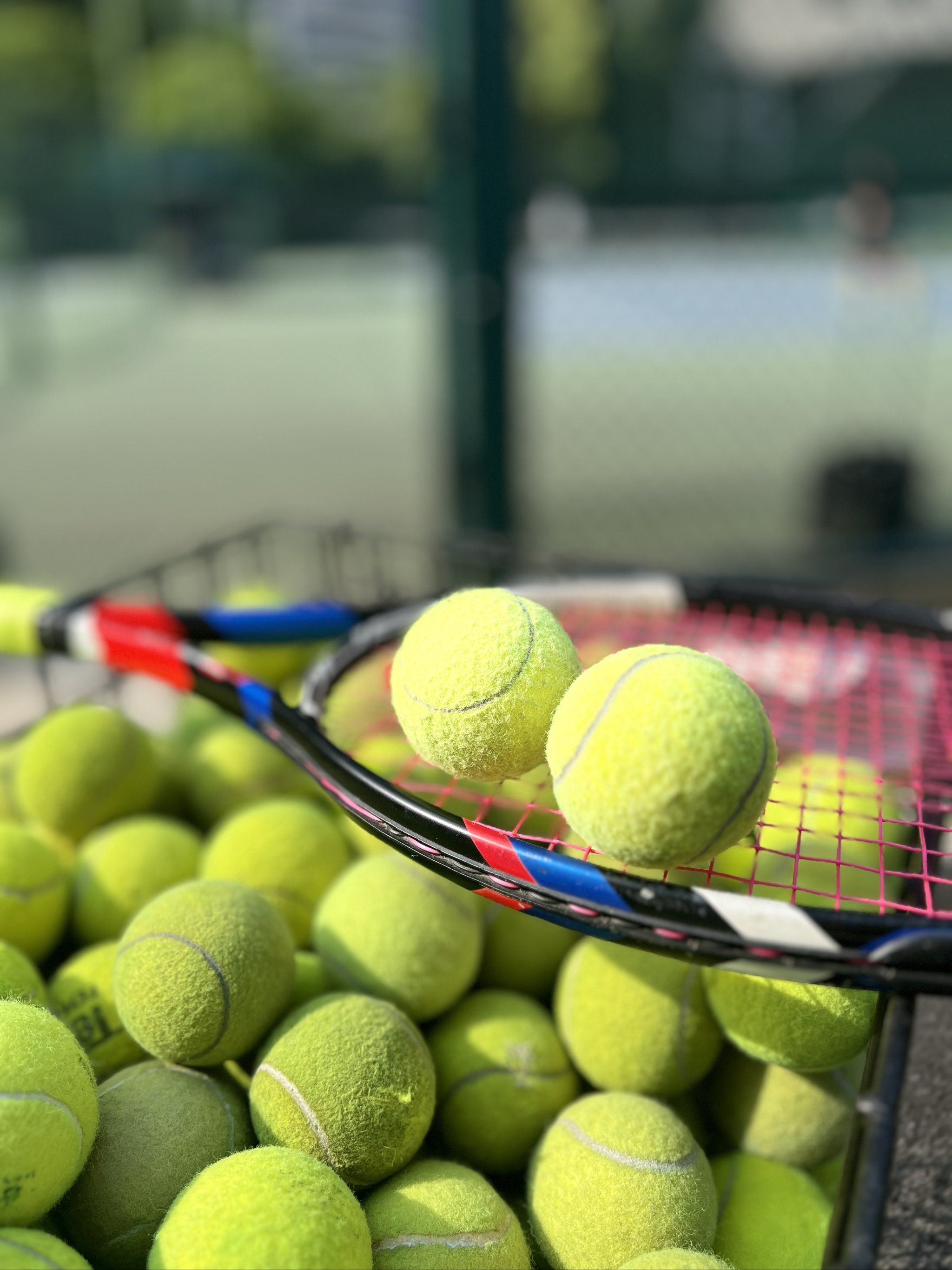 而火箭的即 而火箭的即