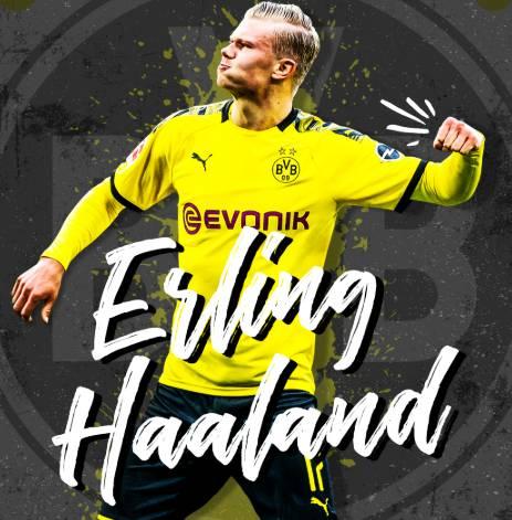 伤病与停赛 伤病与停赛